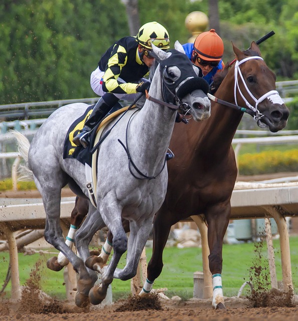 赛过程中抓 赛过程中抓